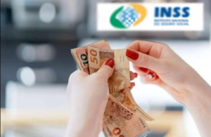 In - PORTAL CONTABILIDADE